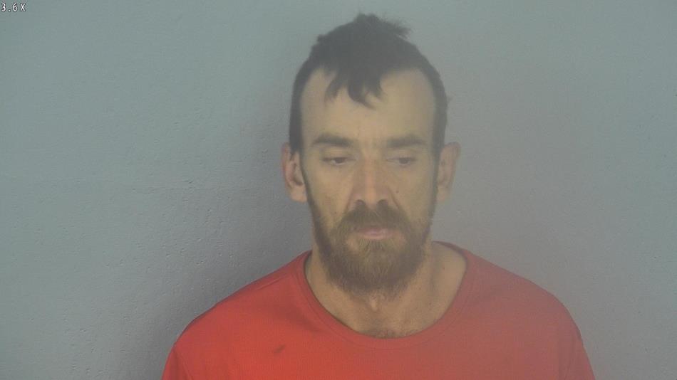 Arrest photo of GARY PARMER