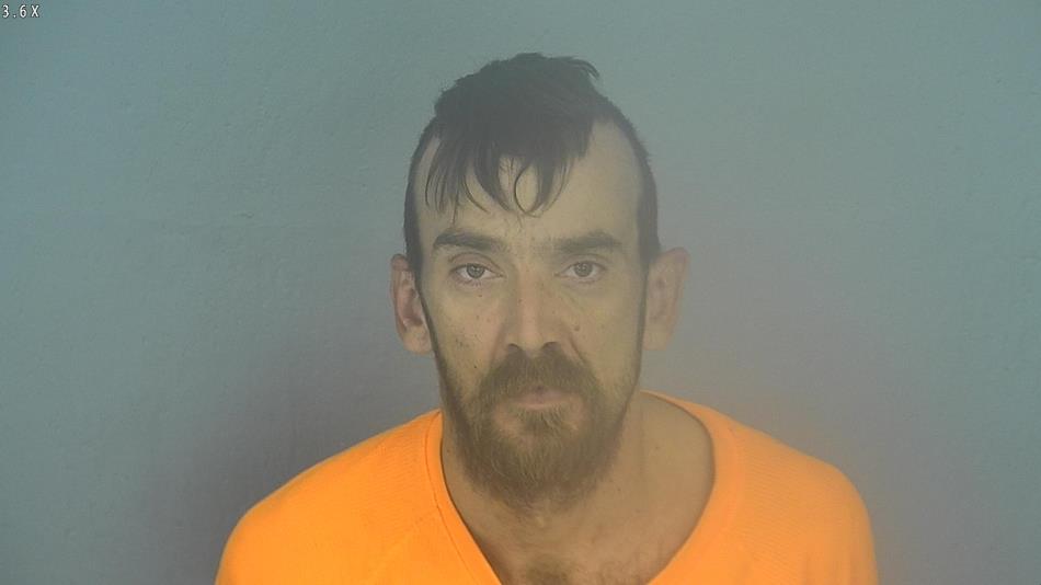 Arrest photo of GARY PARMER