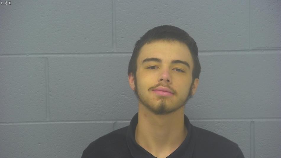Arrest photo of GAVEN LANE