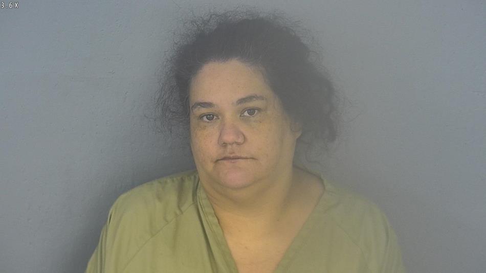 Arrest photo of GINA NUNEZ
