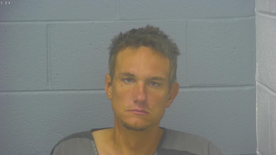 Arrest photo of GREGORY HALLSTROM