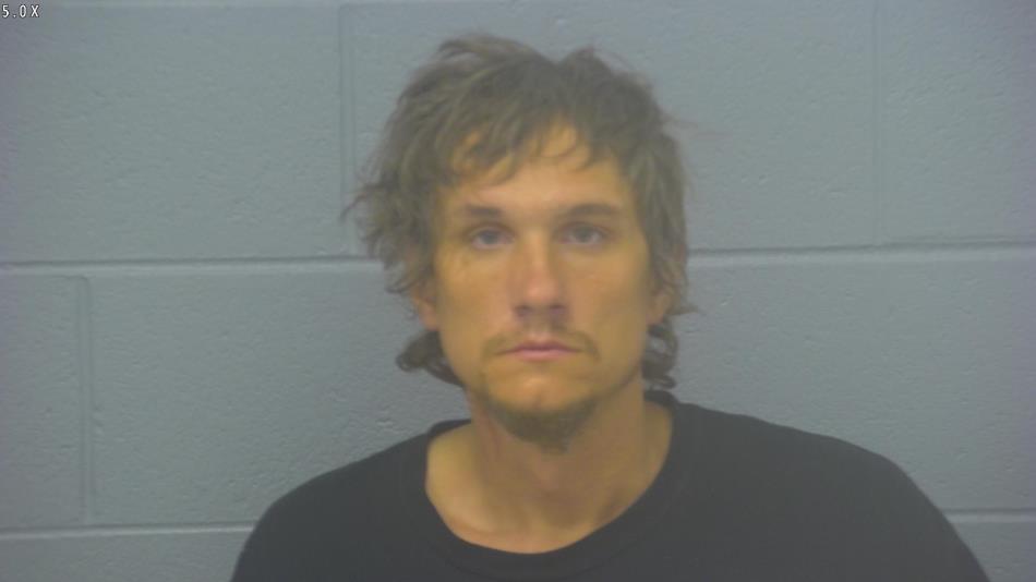 Arrest photo of GREGORY HALLSTROM