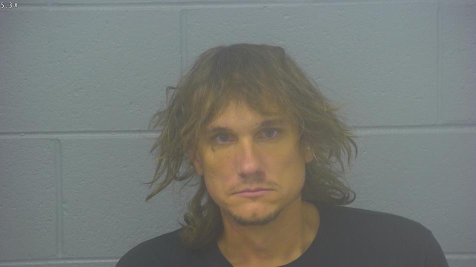 Arrest photo of GREGORY HALLSTROM