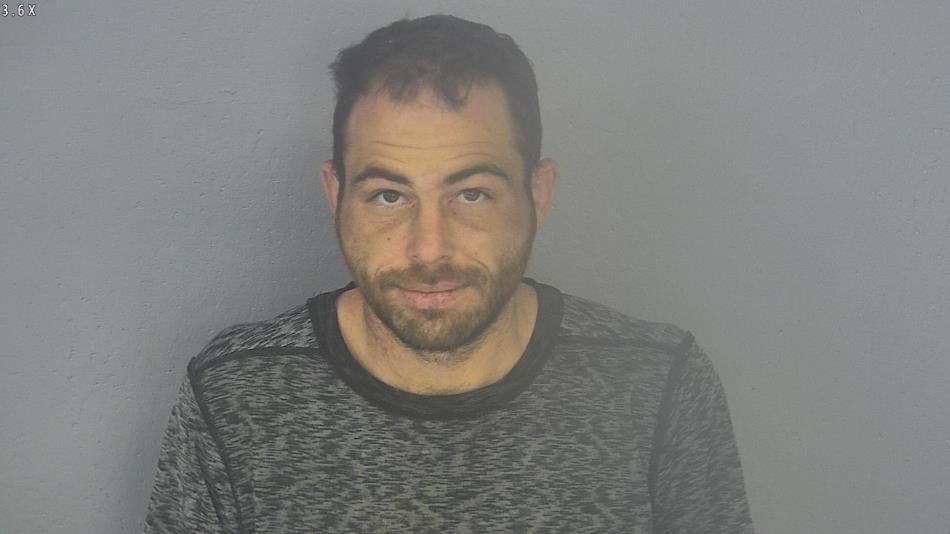 Arrest photo of GREGORY LOFTIN