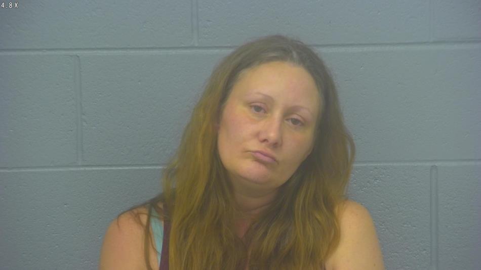 Arrest photo of GRETCHEN BOONE