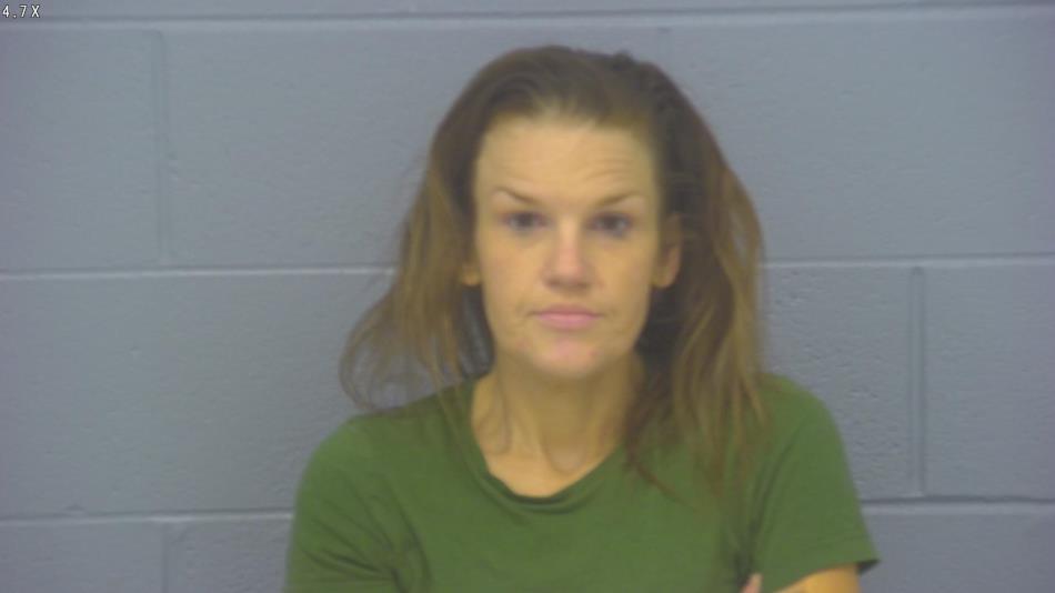 Arrest photo of HAILEY WILSON