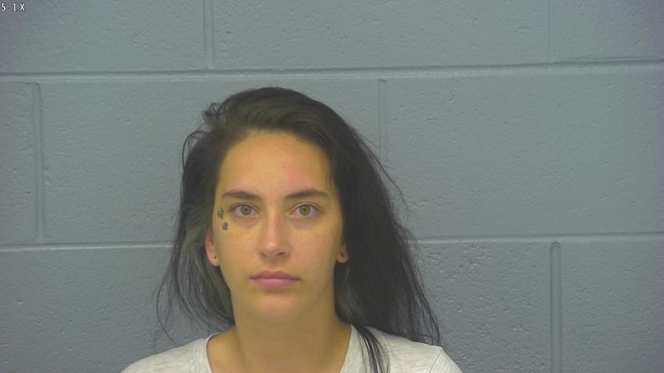 Arrest photo of HAILIE SPEARS