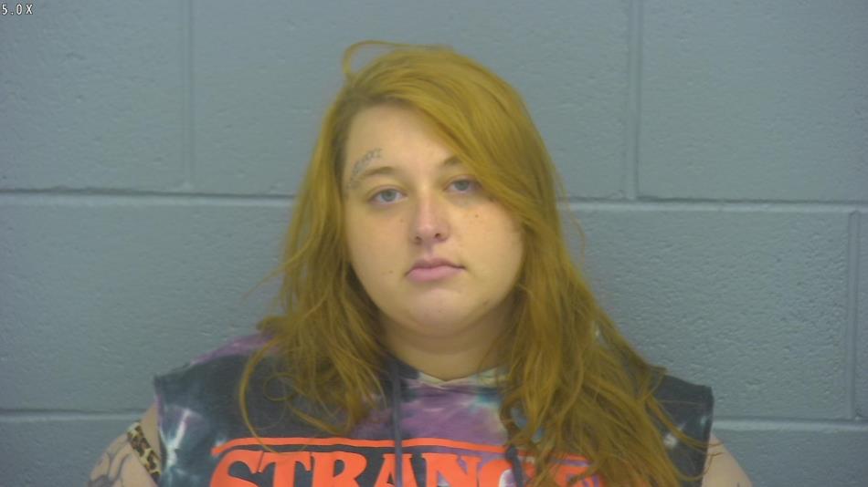 Arrest photo of HALEE BUSSARD