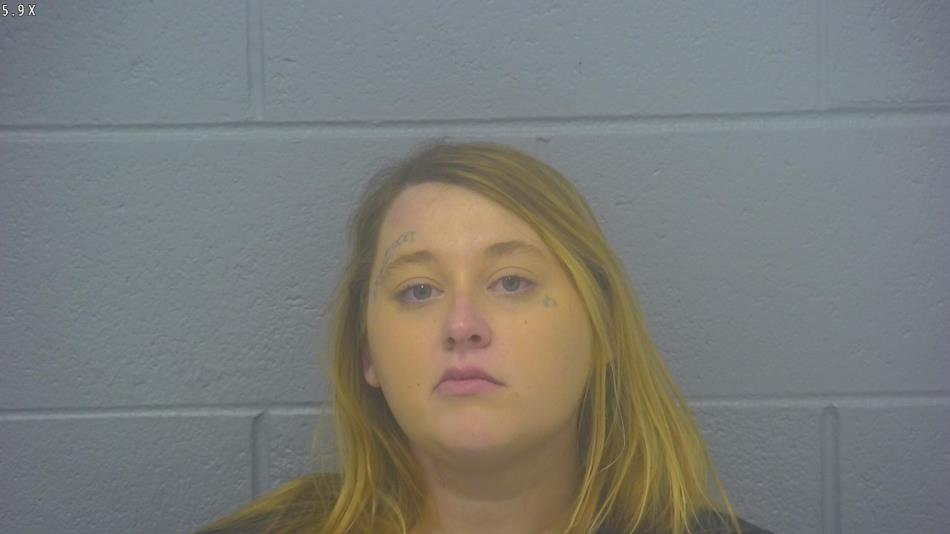 Arrest photo of HALEE BUSSARD