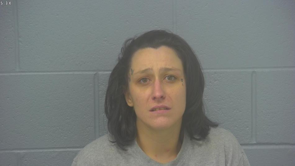 Arrest photo of HALEY HOLLINGSHEAD