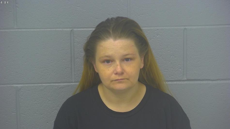 Arrest photo of HALEY CURRIE