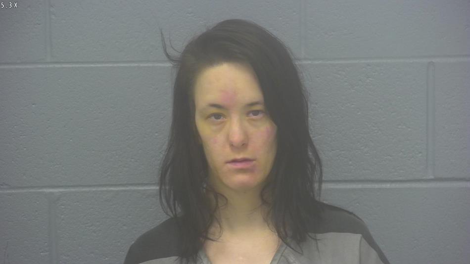 Arrest photo of HANNAH COWLES