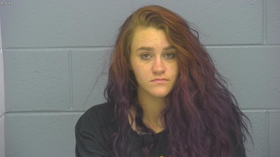 Arrest photo of HANNAH GARRISON