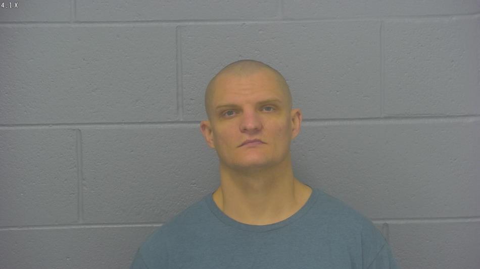 Arrest photo of HARLEY THIELE