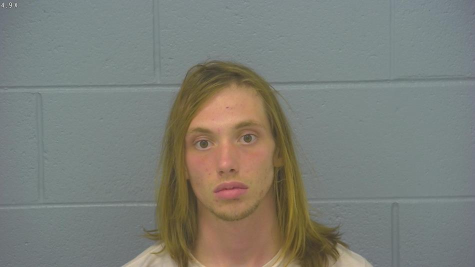 Arrest photo of HAVEN BURKHART