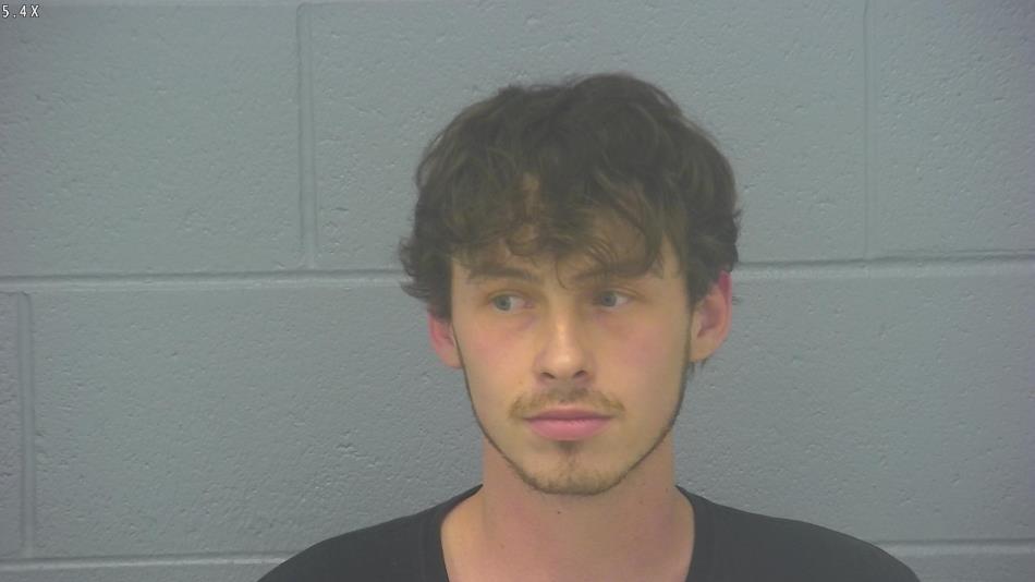 Arrest photo of HAYDEN HOLT