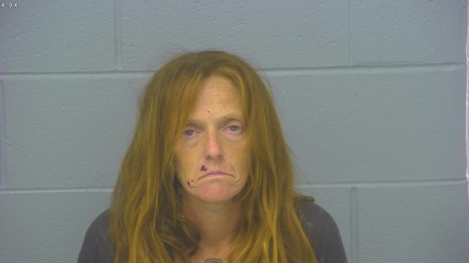 Arrest photo of HEATHER HOFFMAN