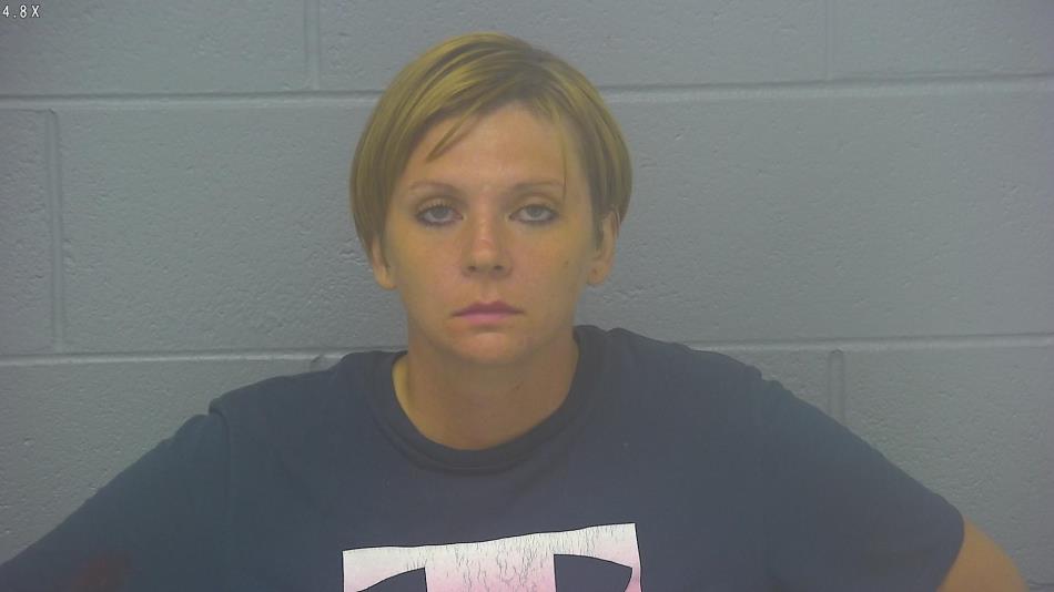 Arrest photo of HEATHER STOWELL