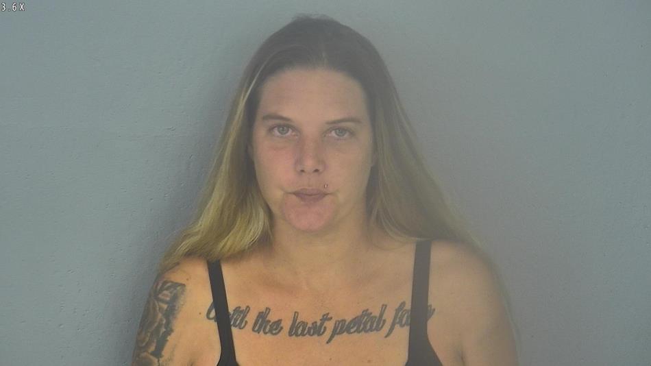 Arrest photo of HEATHER BLAIR