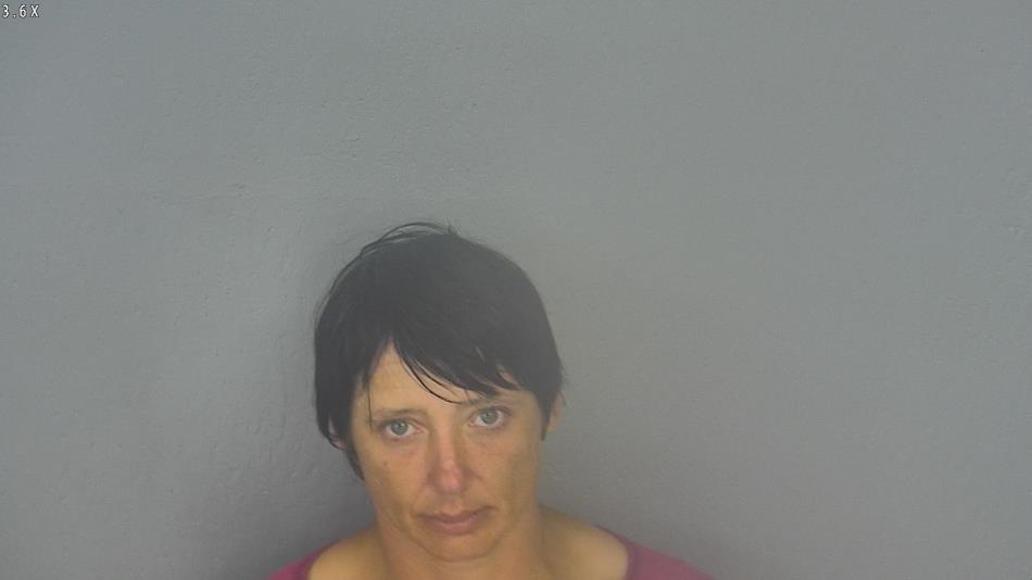 Arrest photo of HEATHER BREWER