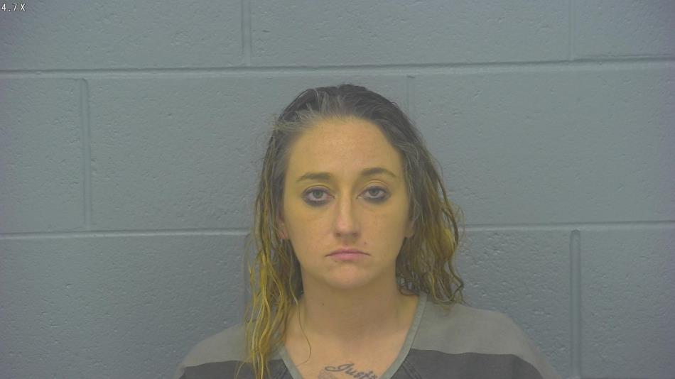 Arrest photo of HEATHER WILKERSON