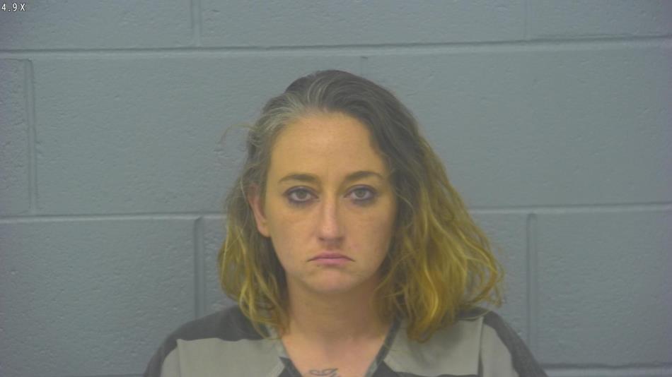 Arrest photo of HEATHER WILKERSON