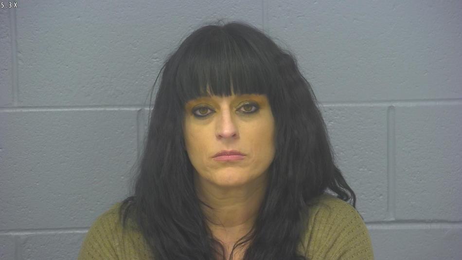 Arrest photo of HEATHER DOUGLAS