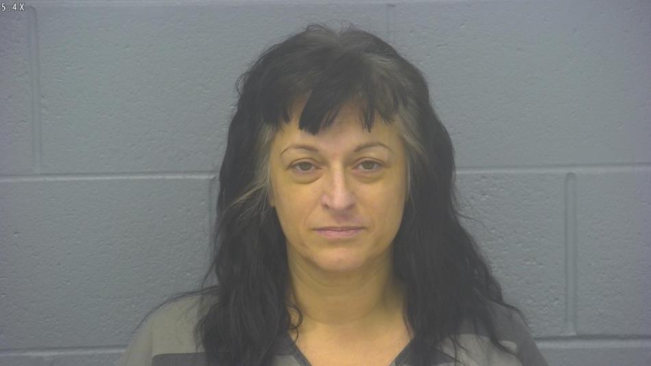 Arrest photo of HEATHER DOUGLAS