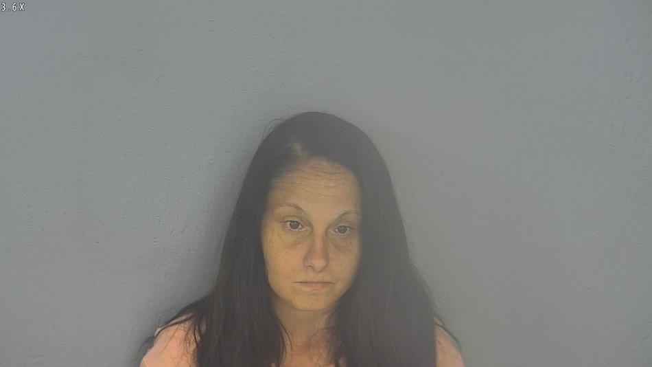 Arrest photo of HEATHER RADCLIFF