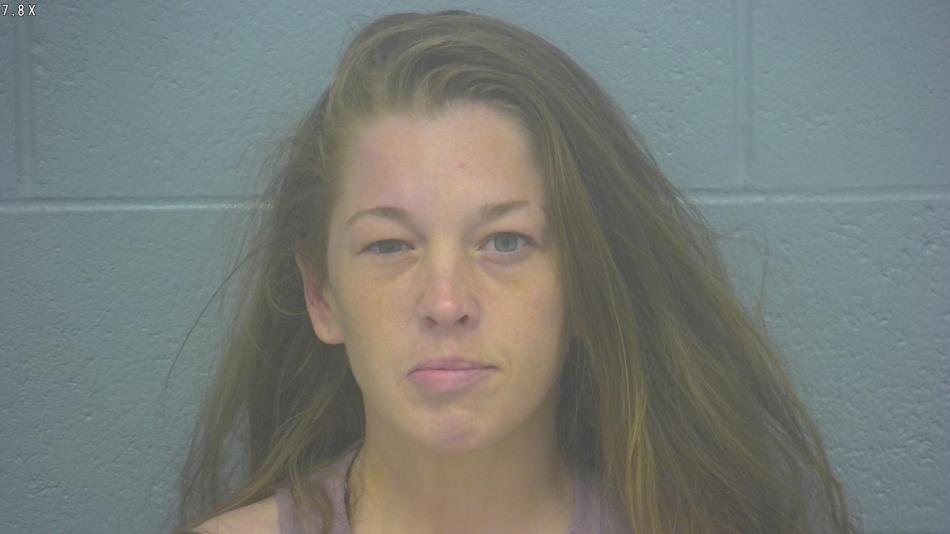 Arrest photo of HEATHER CLEM