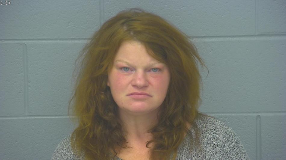 Arrest photo of HEATHER HUDSON