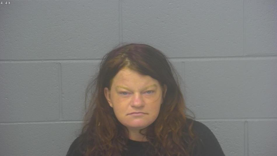 Arrest photo of HEATHER HUDSON