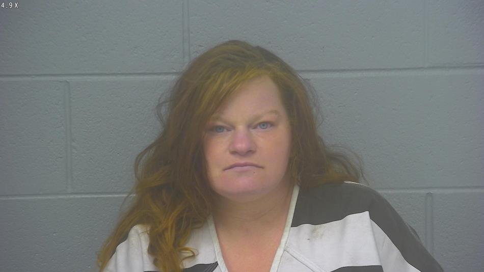 Arrest photo of HEATHER HUDSON