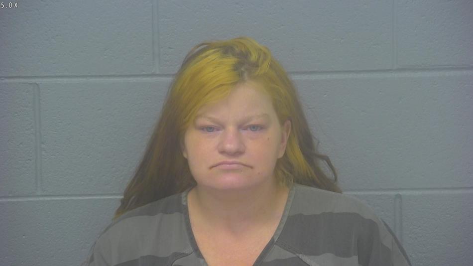 Arrest photo of HEATHER HUDSON