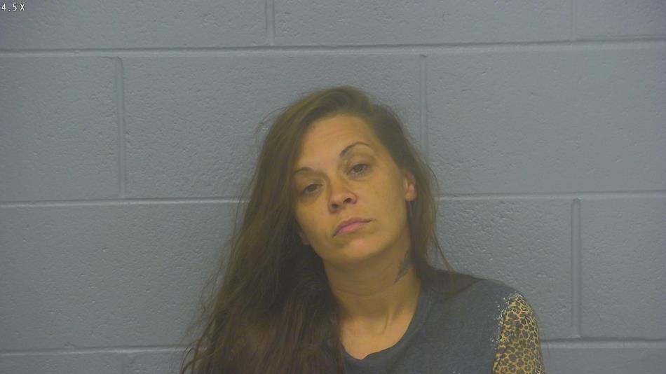 Arrest photo of HEATHER HANCE