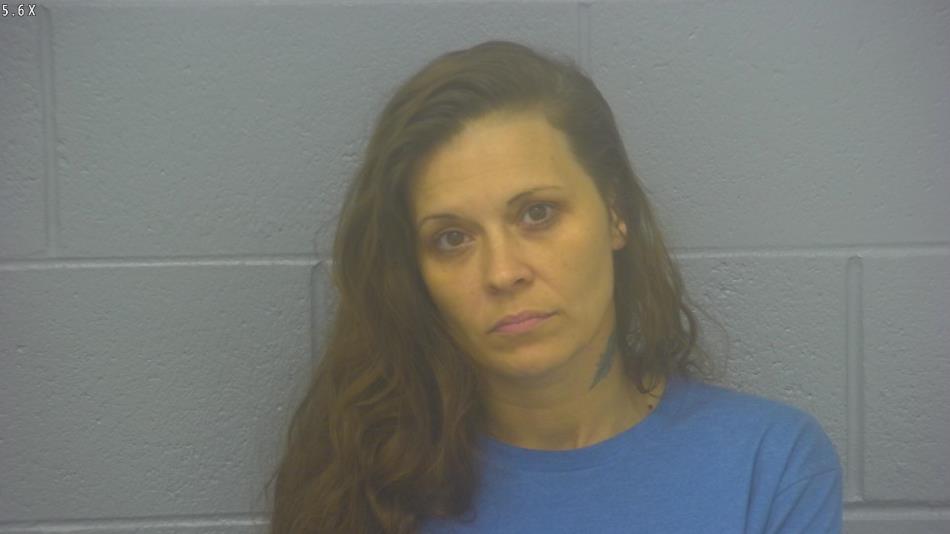 Arrest photo of HEATHER HANCE