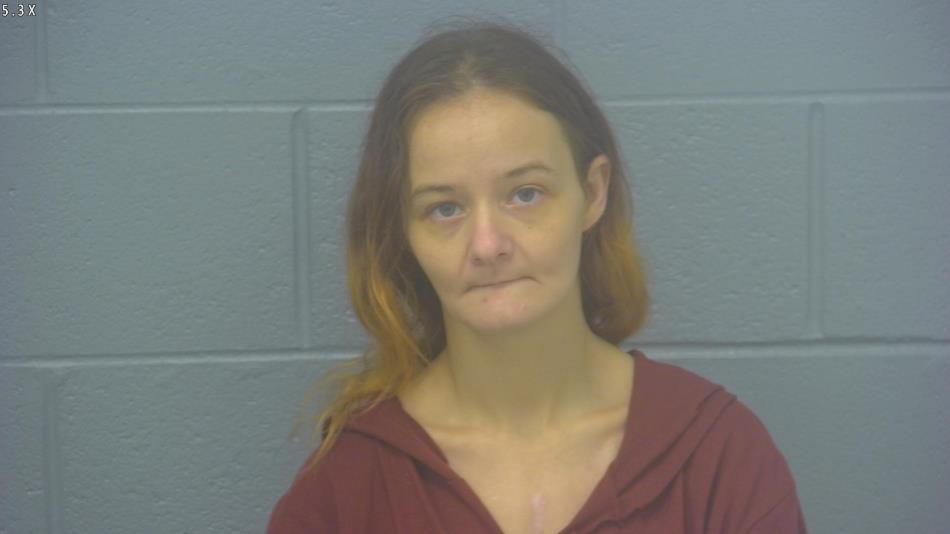 Arrest Photo of HEATHER SIMPSON, arrested on 5/28/2024