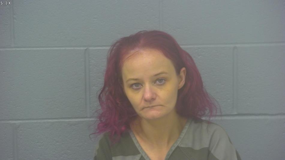 Arrest Photo of HEATHER SIMPSON, arrested on 8/5/2024