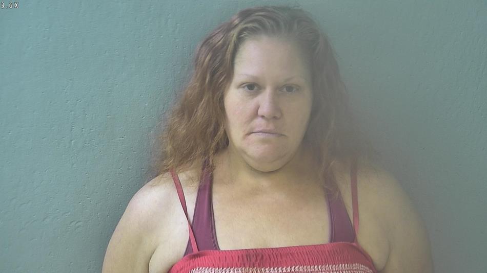 Arrest photo of HEATHER HARPER