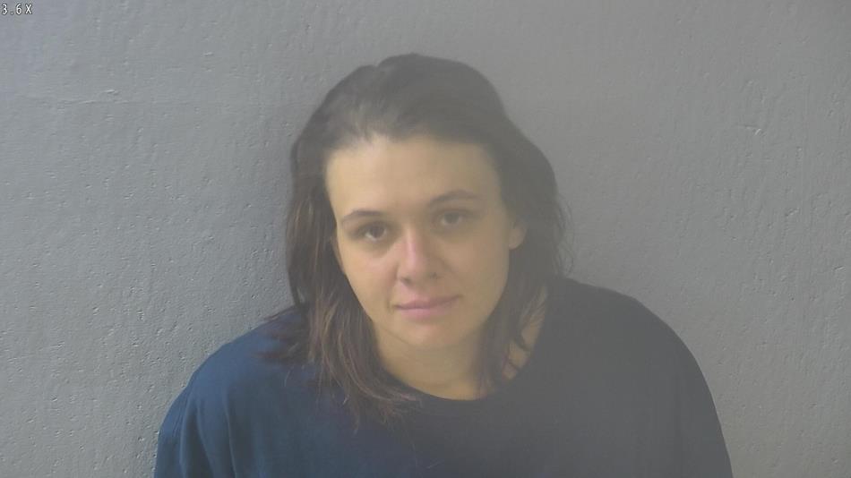 Arrest photo of HEATHER DAVIS