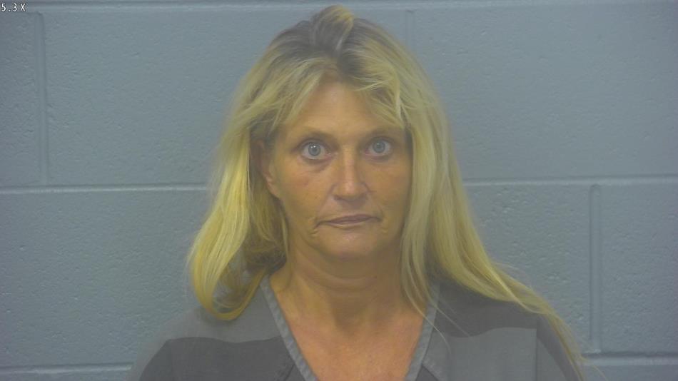 Arrest photo of HEATHER DODSON