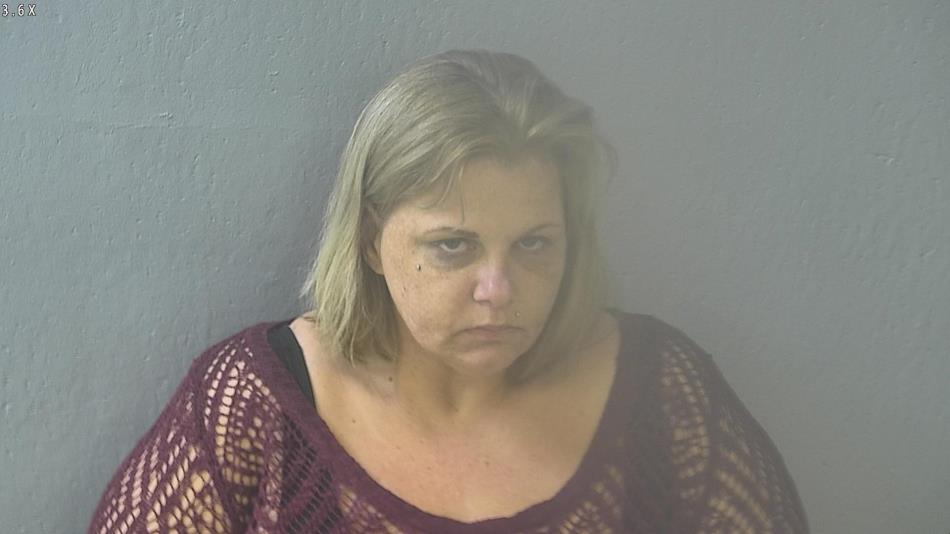 Arrest photo of HEATHER BECKSTEIN