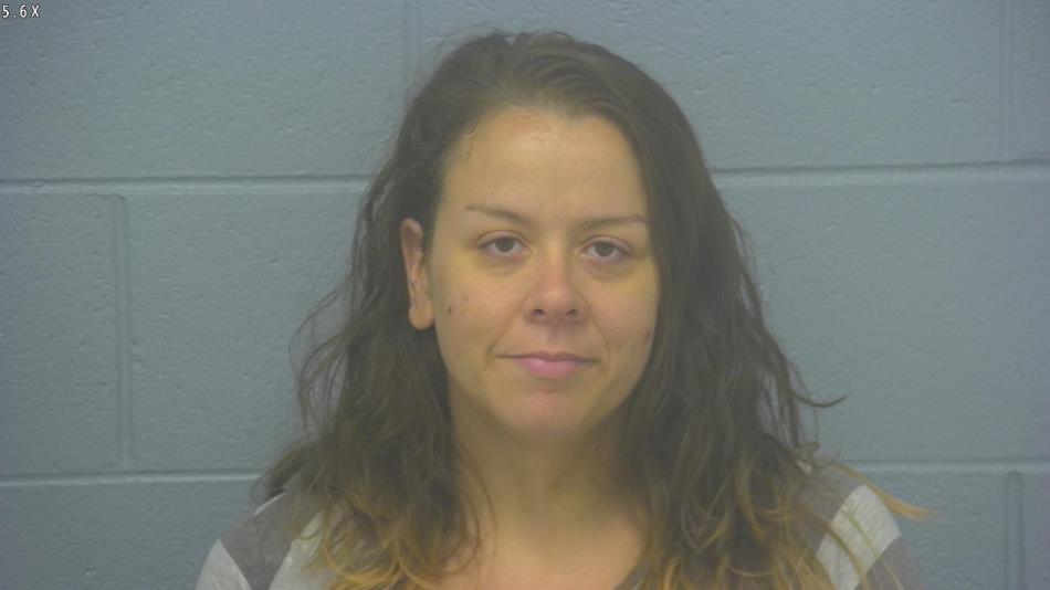 Arrest photo of HEATHER THOMAS