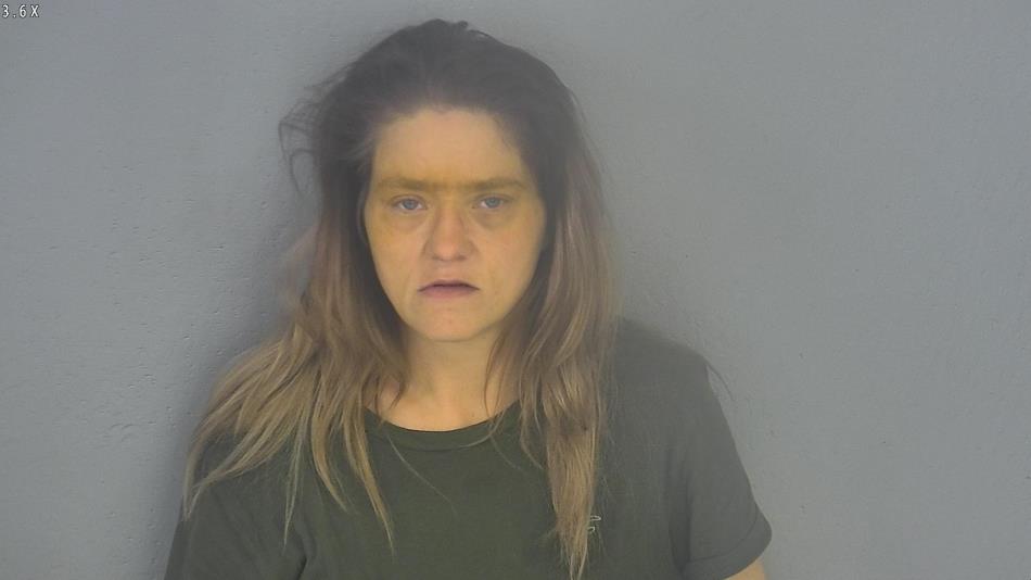 Arrest photo of HEATHER BISHOP