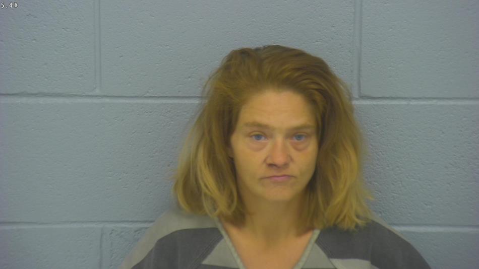 Arrest photo of HEATHER BISHOP