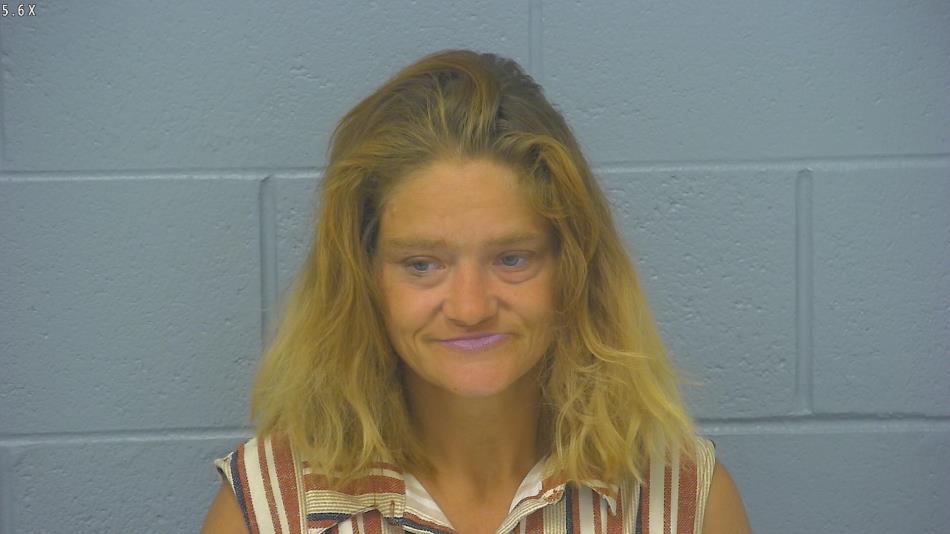 Arrest photo of HEATHER BISHOP