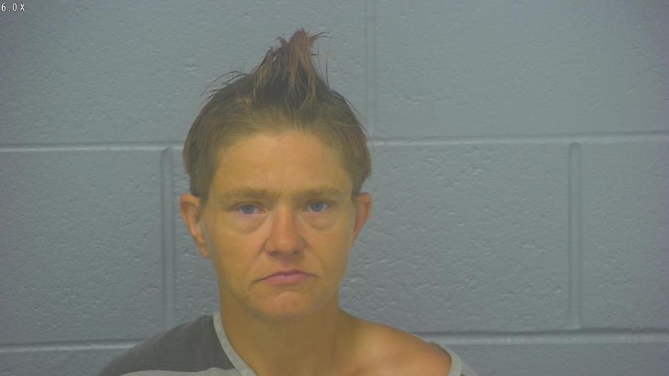 Arrest photo of HEATHER BISHOP