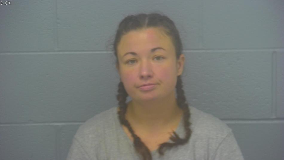 Arrest photo of HEATHER  BALDWIN