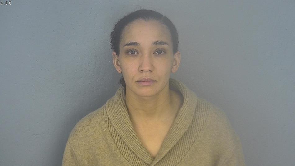 Arrest photo of HEATHER HOGAN