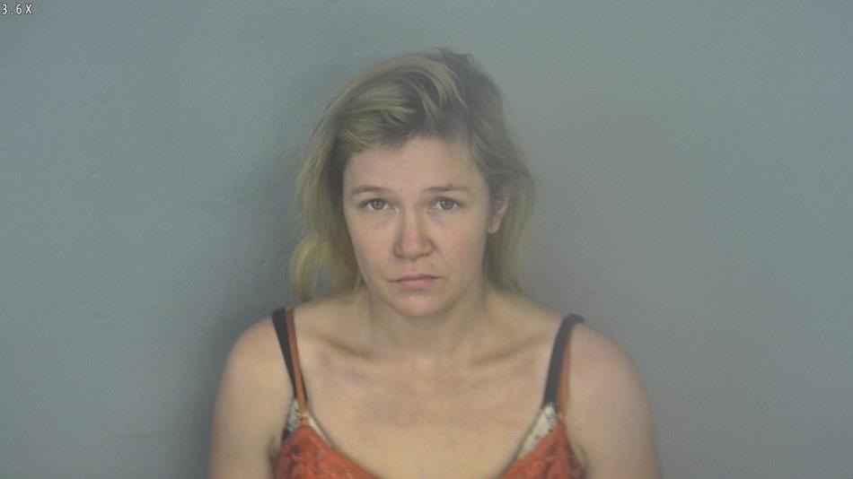 Arrest photo of HEATHER ROCK